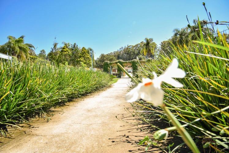 Águas de Lindóia Hotel Fazenda M1 מראה חיצוני תמונה